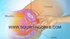 Squirting (female Ejaculation) Is Also Know As Amrita